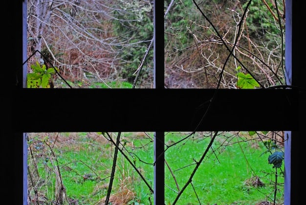 A split-screen image showing two different video formats: on the left, a traditional landscape video with black bars on top and bottom when viewed on a smartphone; on the right, a fully optimized vertical video filling the entire smartphone screen. Text overlay highlights 